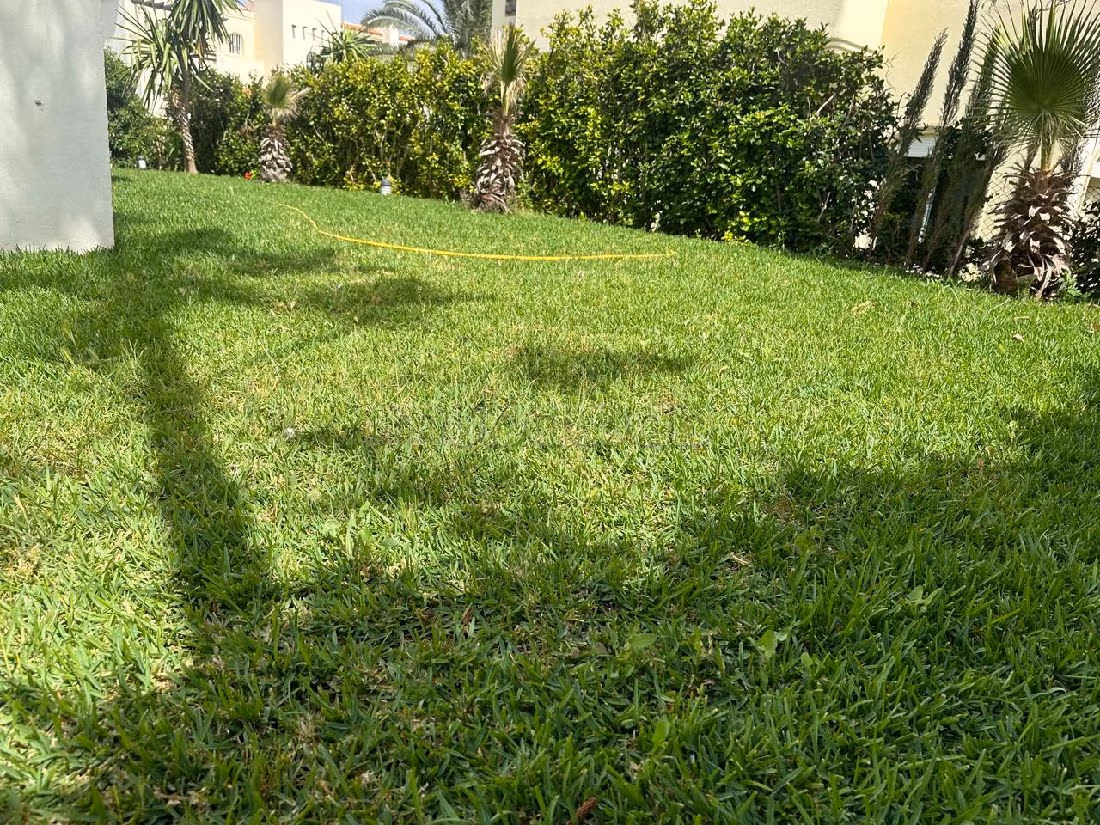 Luxury Villa for rent in Ain Diab. Small area 400 m². Swimming pool. 