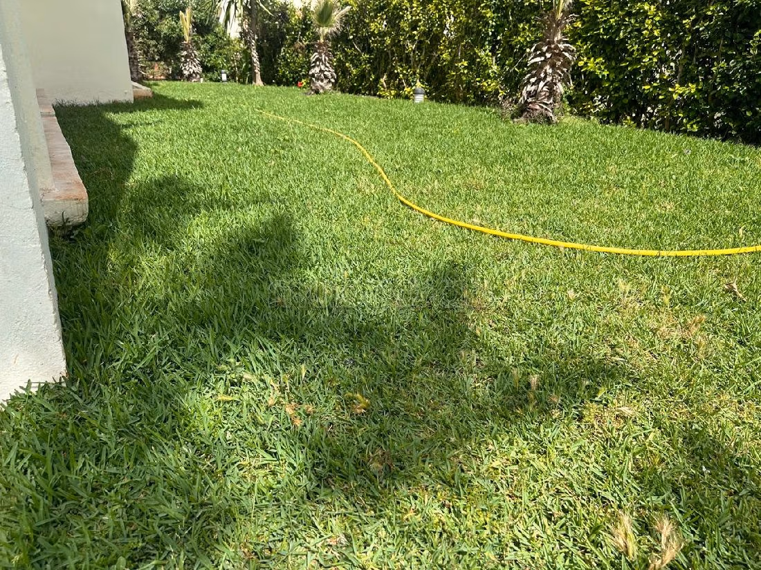 Luxury Villa for rent in Ain Diab. Small area 400 m². Swimming pool. 