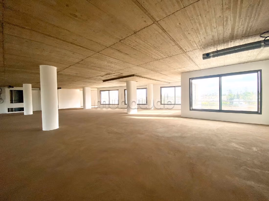 Ufficio in affitto a Oasis. Superficie 404 m². 