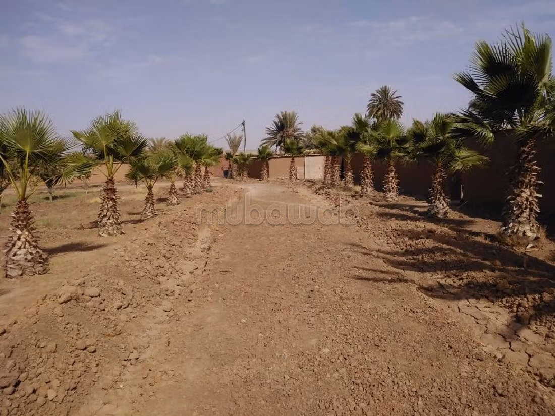 Terreno en venta en Maihta. Superficie de 6719 m². 