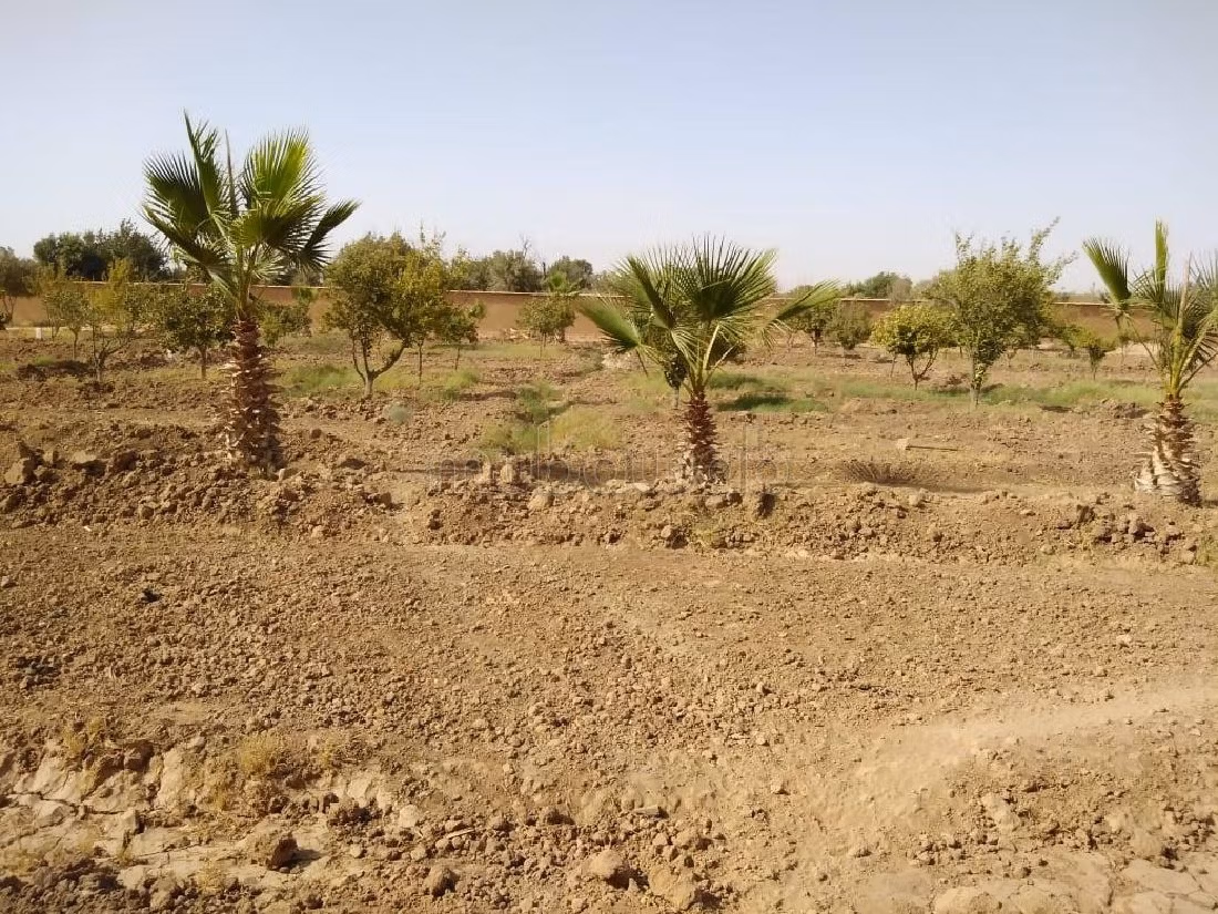 Terreno en venta en Maihta. Superficie de 6719 m². 