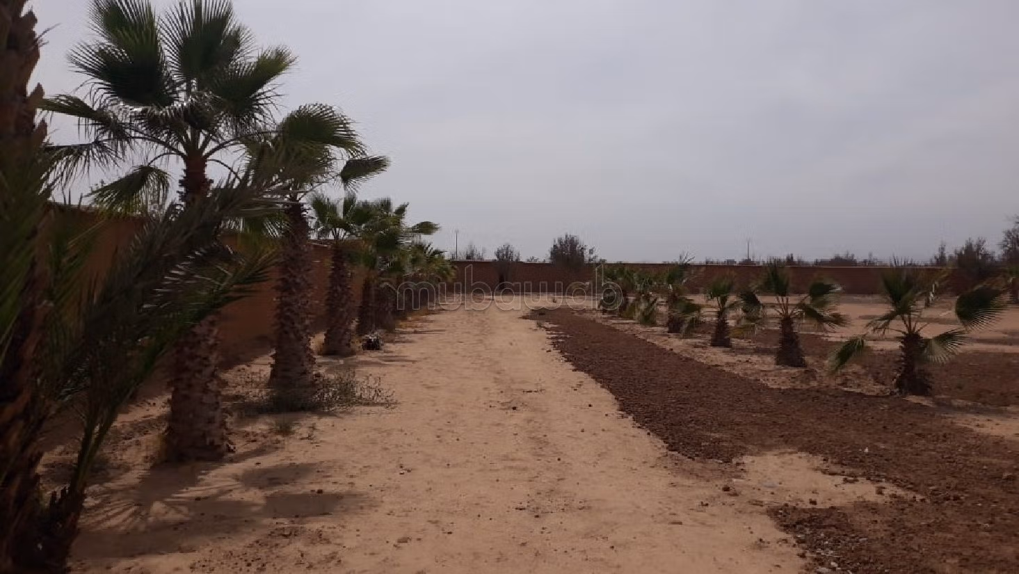 Terreno en venta en Maihta. Superficie de 6719 m². 