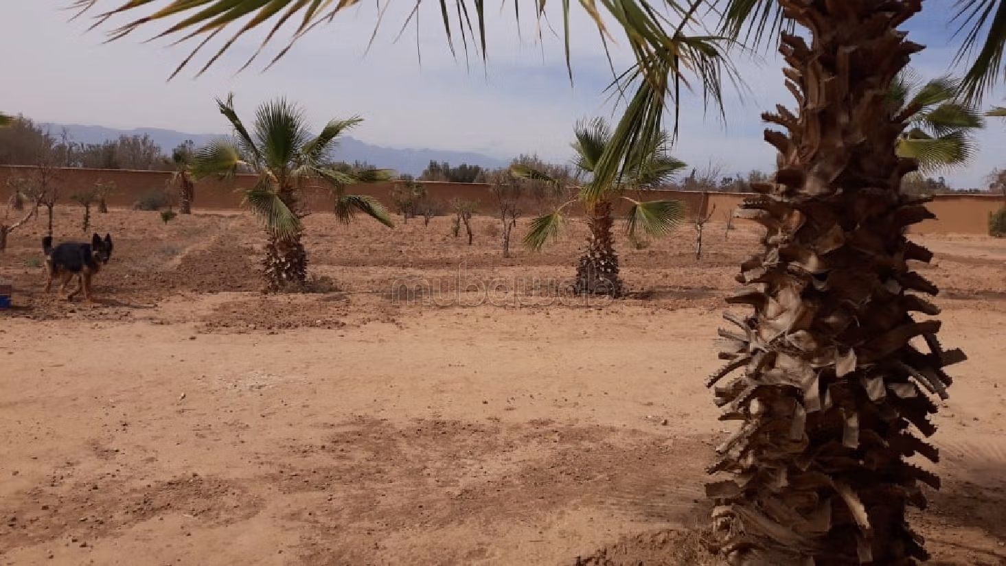 Terreno en venta en Maihta. Superficie de 6719 m². 