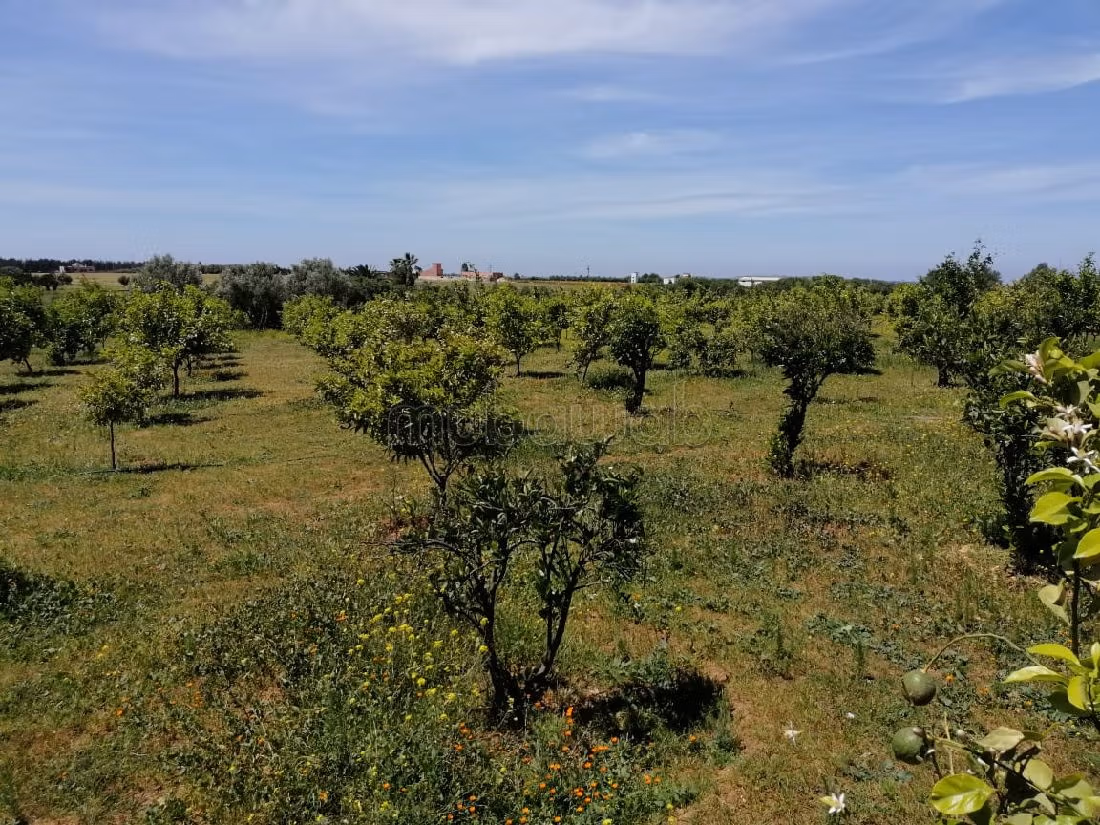 Nu te koop: boerderijen in Entrée Sud. Oppervlakte 20000 m². 