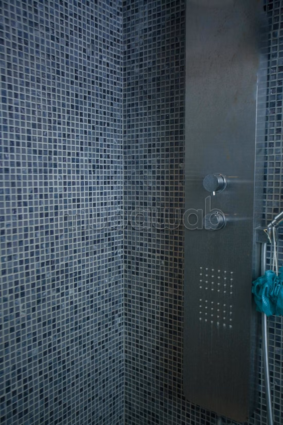 Appartement 140 m² à Les Hôpitaux — 21