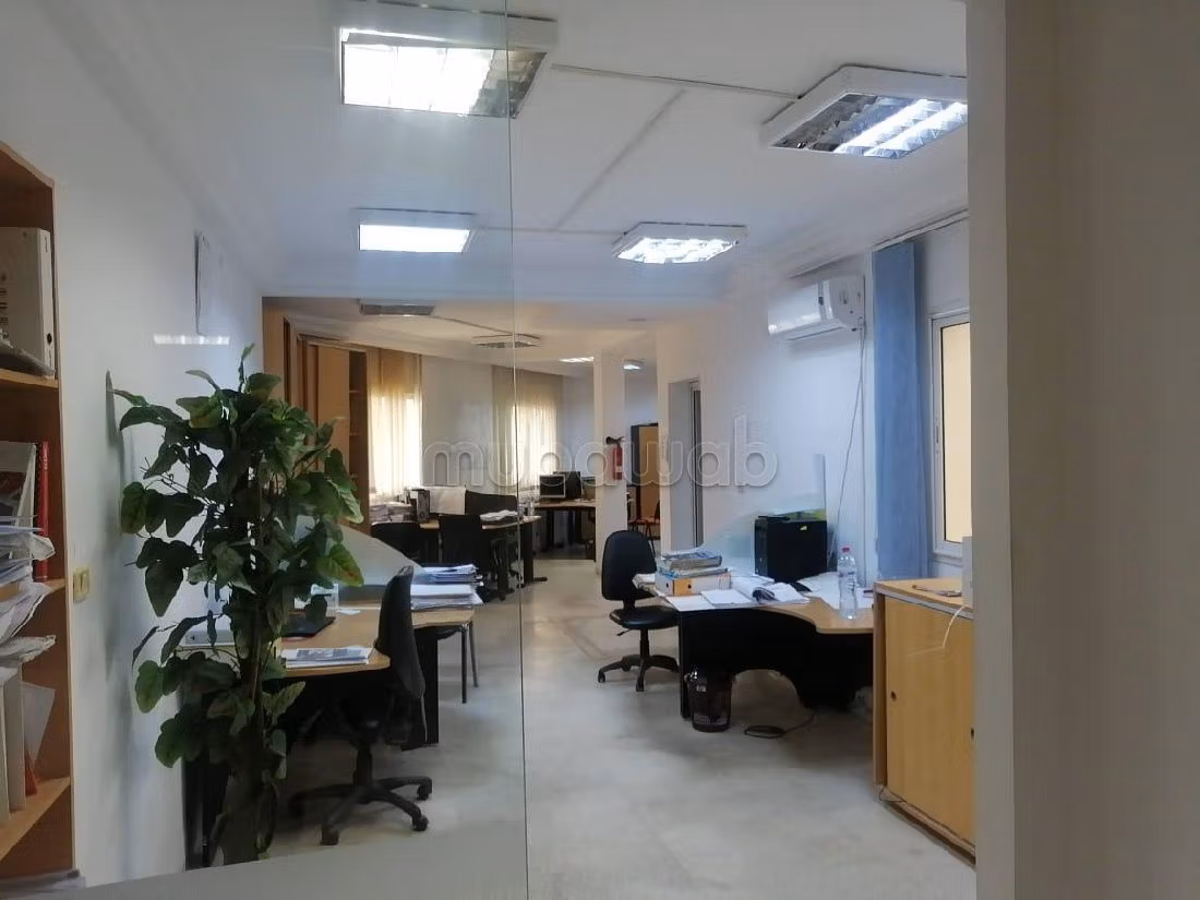 عقارت تجارية للكراء ب الشرڨية 2. المساحة الإجمالية 350 م². 