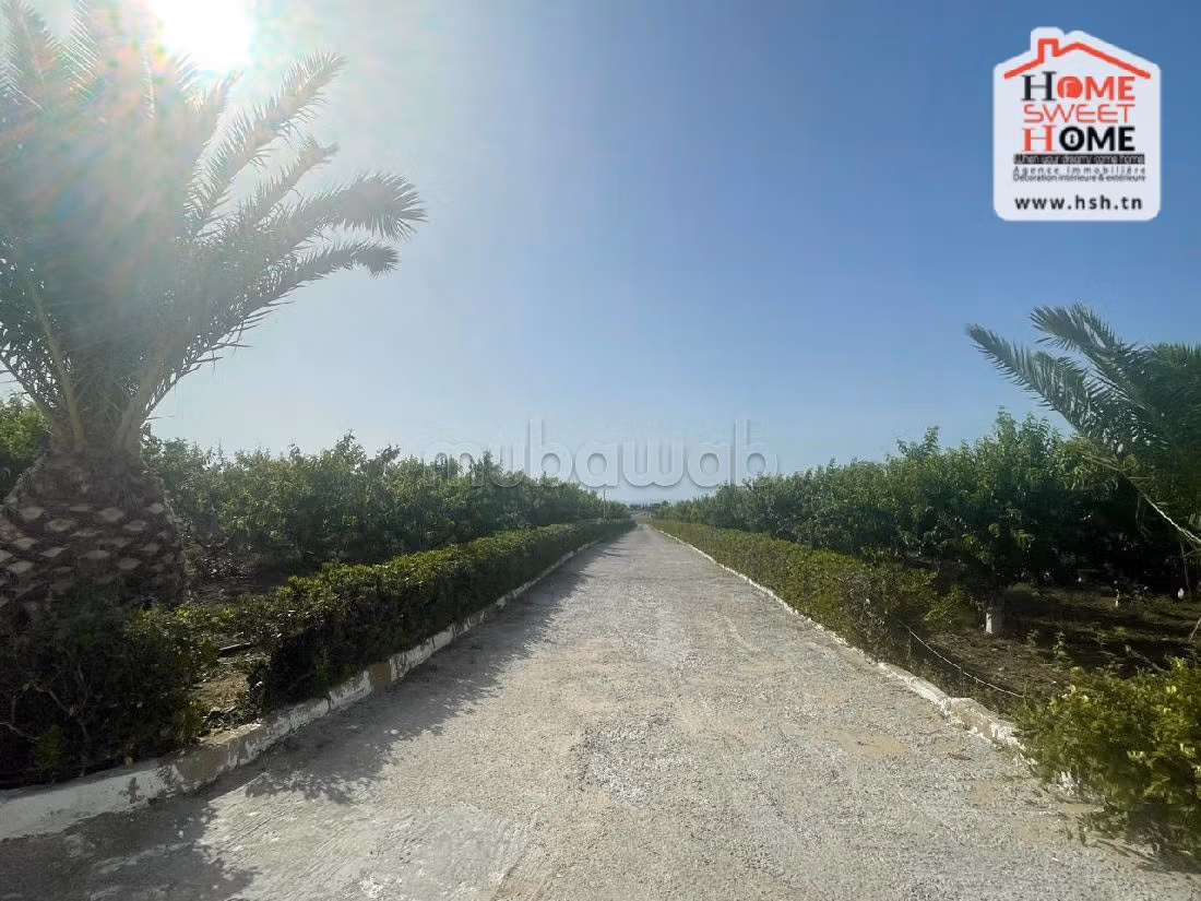 Ferme Pechio à Vendre à Khitmin Bizerte