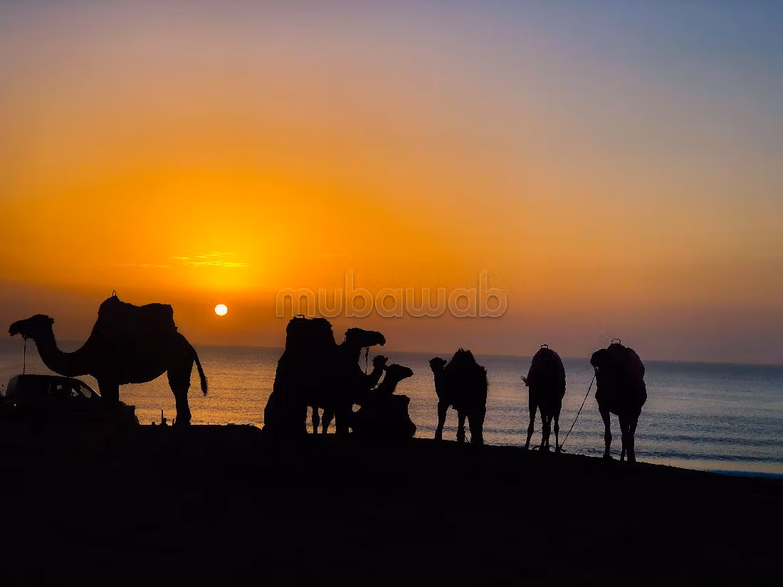 Résidence Cap Spartel avec piscine