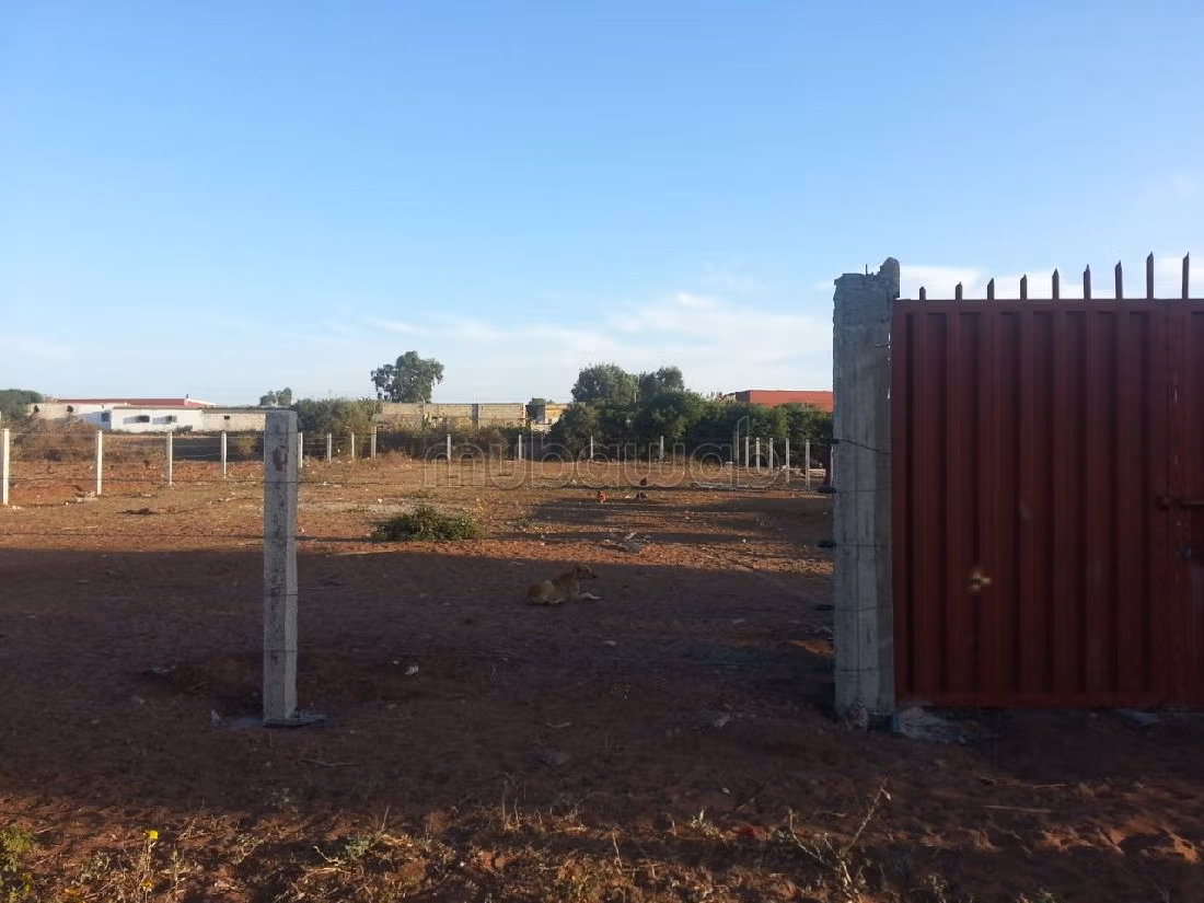 Nu te koop. Oppervlakte 1000 m²