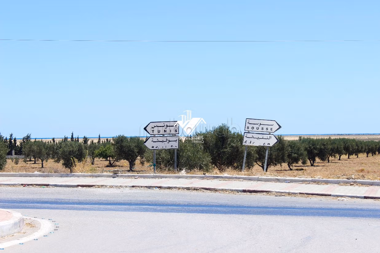 Offre spéciale Terrain a vendre a sidi Khlifa