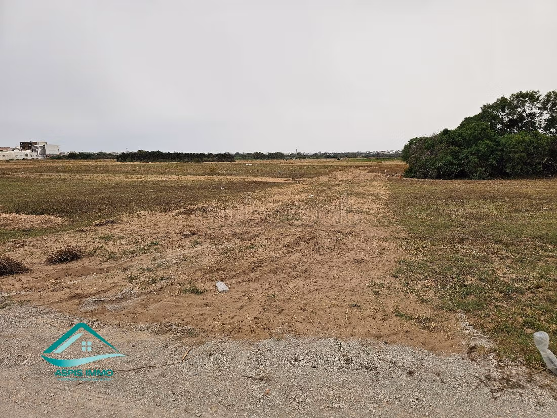 Land to buy. Area 200 m². 