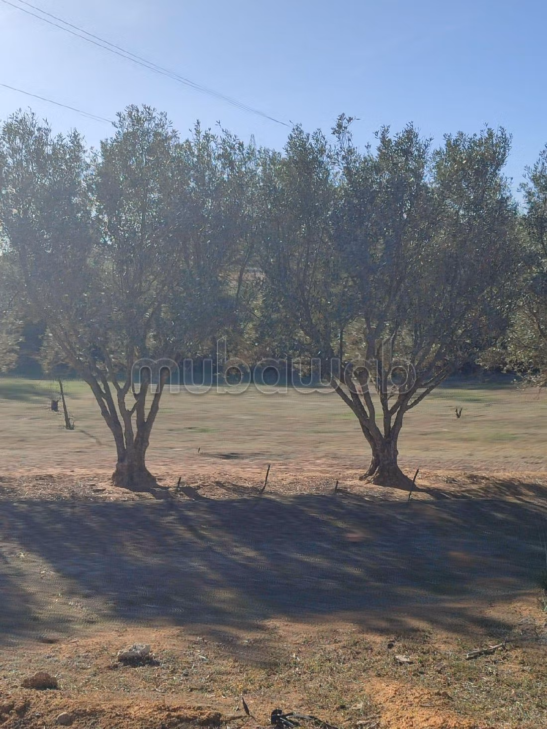 Kopen: land. Totale oppervlakte 90000 m². 