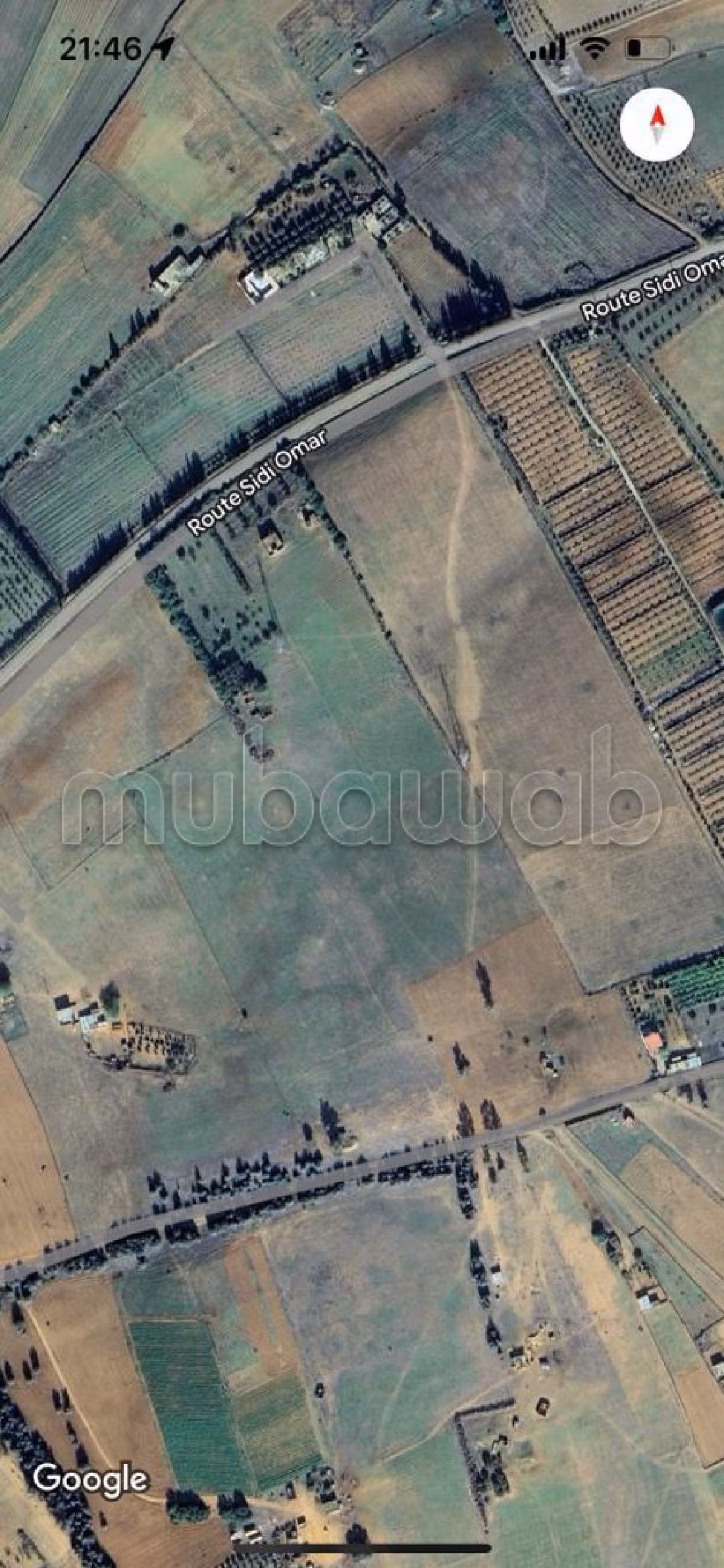 Kopen: land. Totale oppervlakte 90000 m². 