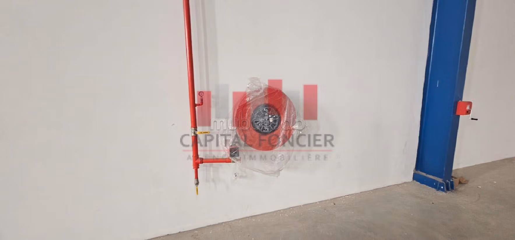 Offices & shops to rent in Zone Industrielle. Total area 1875 m²