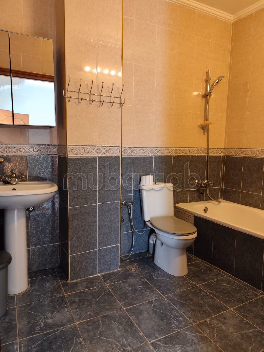 Find an apartment to buy in Wilaya. 7 large rooms. Secured door. 