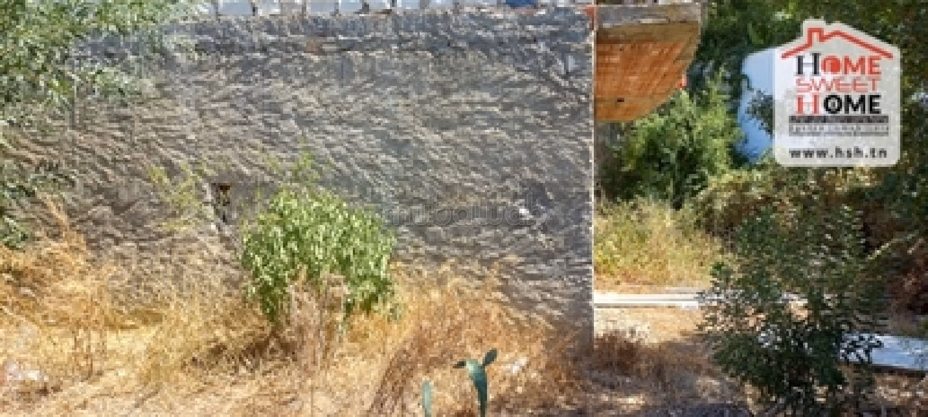 أرض رائعة للبيع ب ڨمرت. المساحة الكلية 1100 م². 