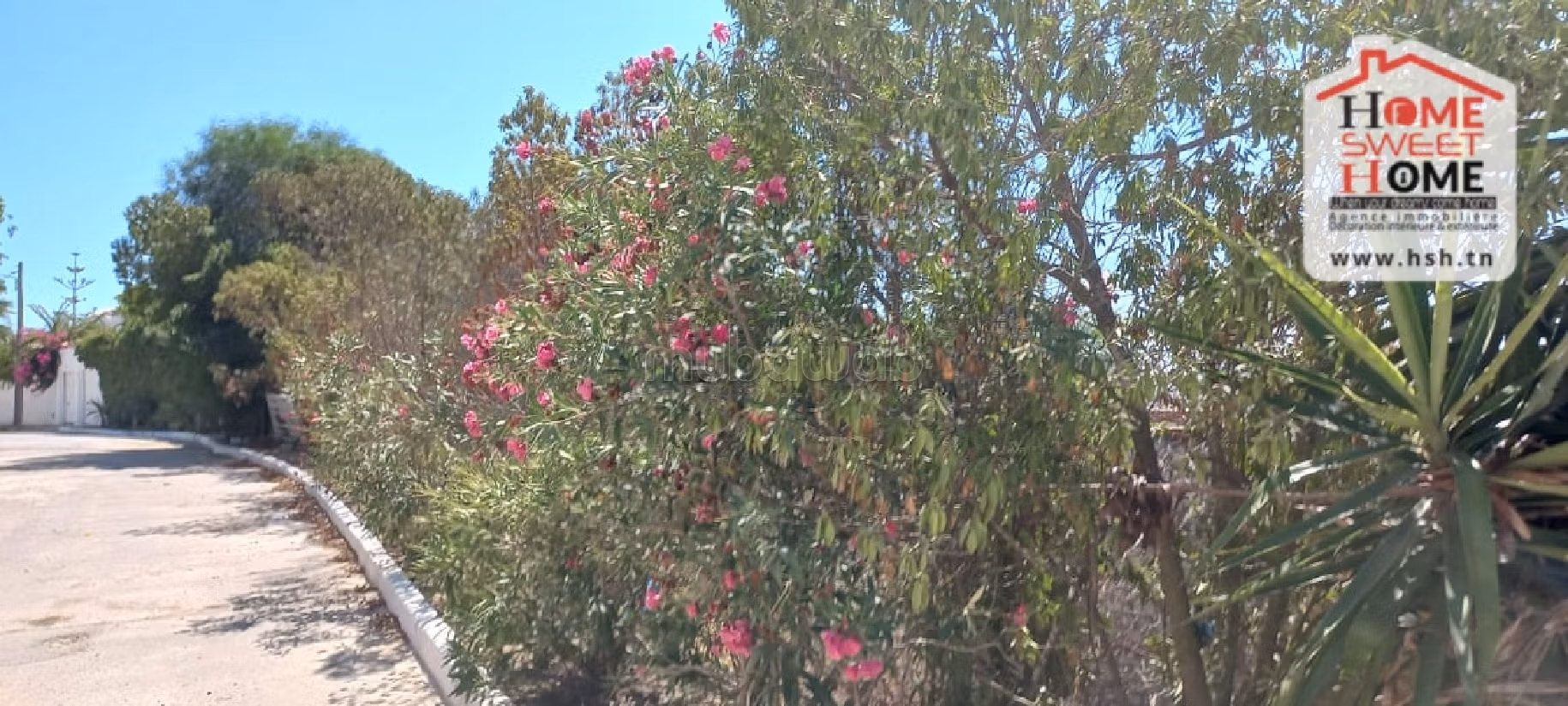 أرض رائعة للبيع ب ڨمرت. المساحة الكلية 1100 م². 