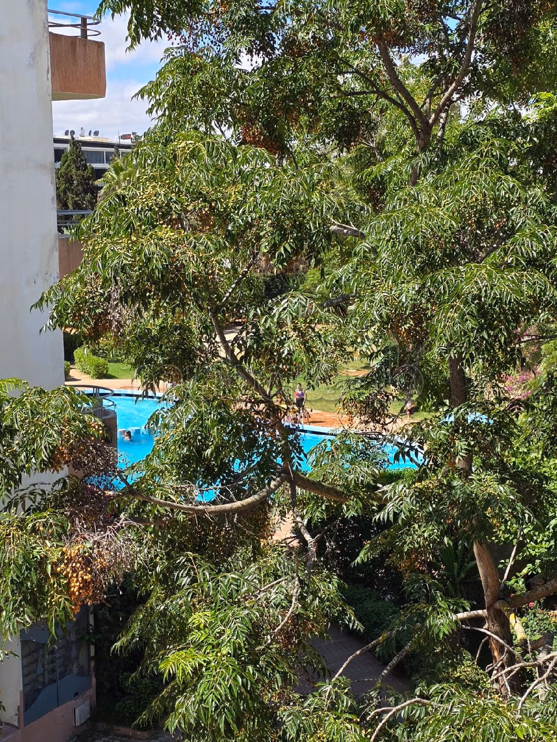 Apartments for rent in La Siesta. 3 large living areas. Satellite dish, secured residence. 
