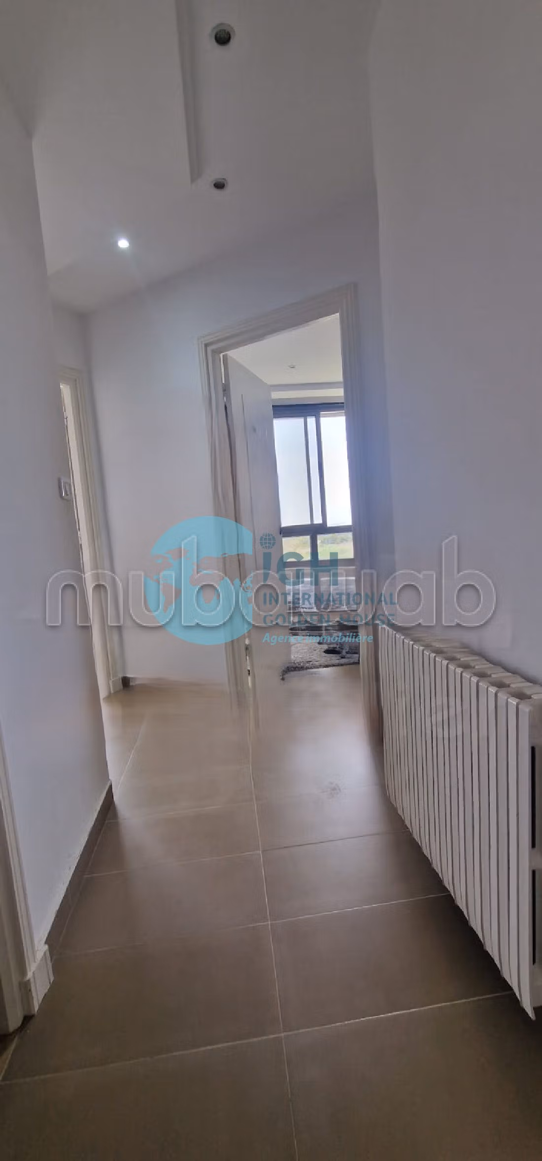 For Rent a Furnished Duplex S3 in Gammarth