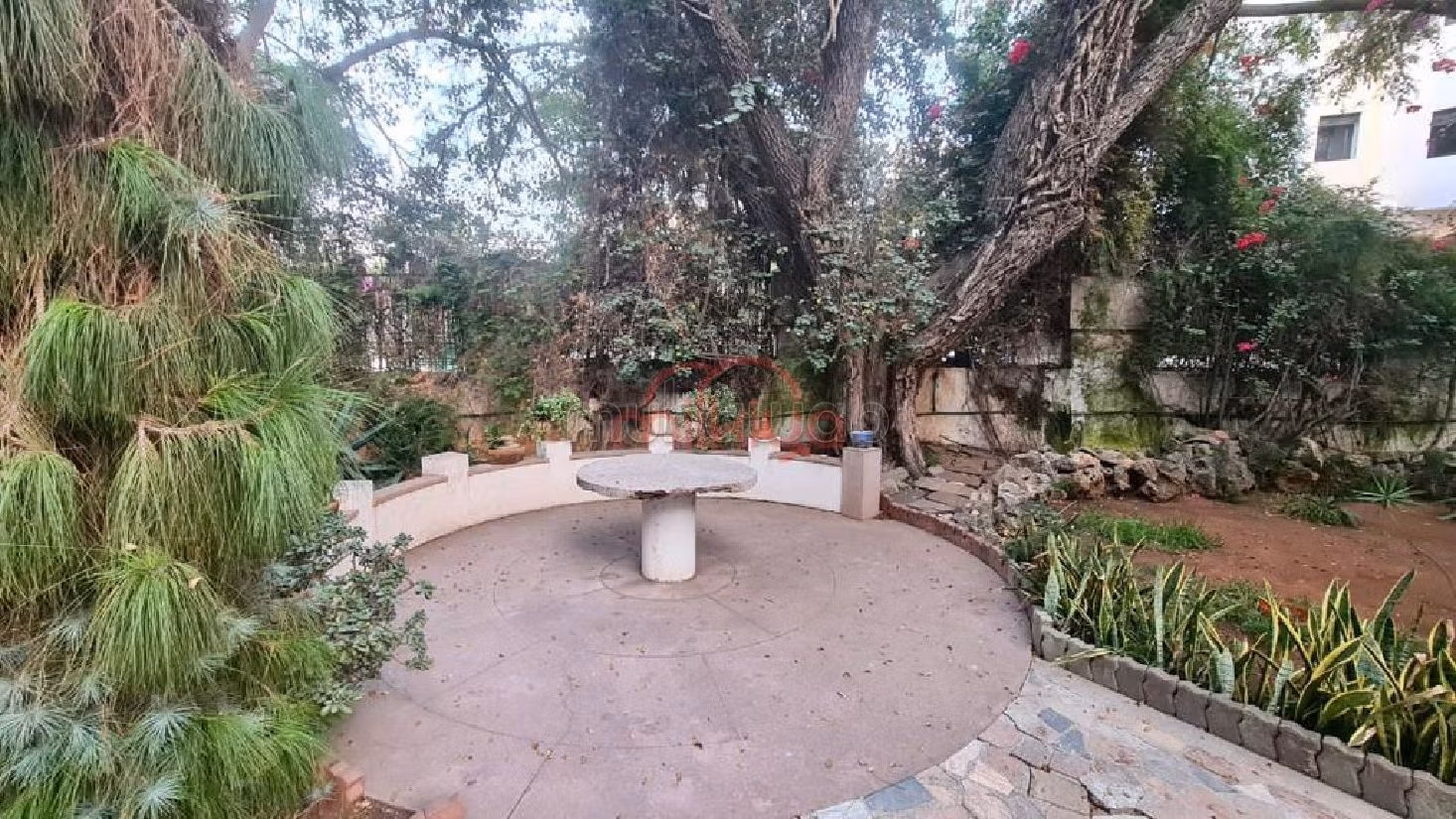 Kopen: villa's en luxe woningen in Palmier. 5 Slaapkamers. Garage en mooi terras