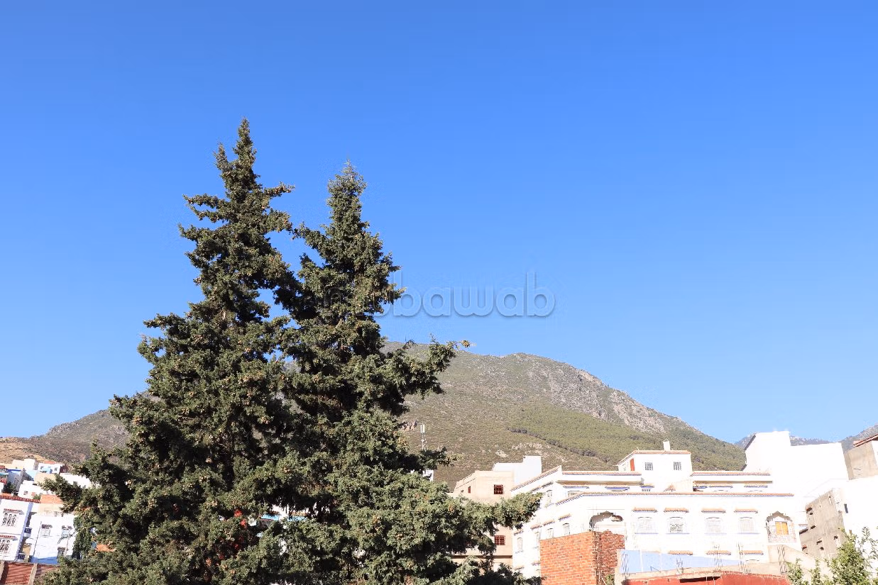 Find your house to buy. 7 rooms. Ample storage space