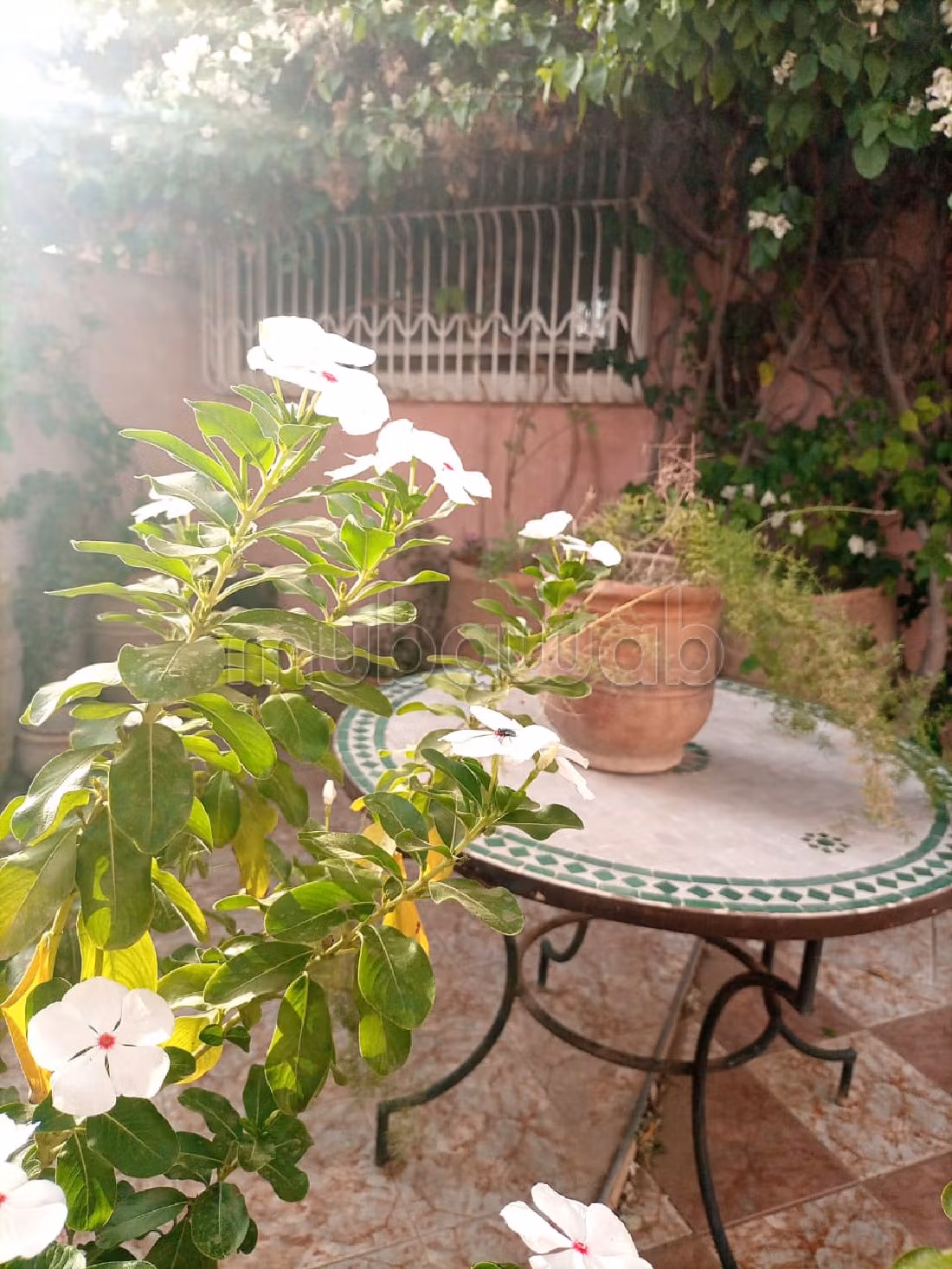 Casa in vendita a Assarag. Superficie totale 500 m². Ammobiliato