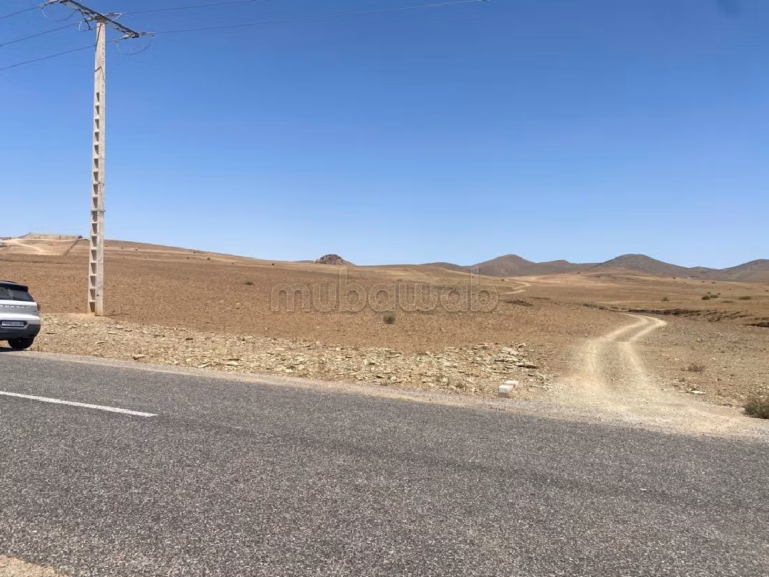 Terrain Titré de 26,000 m² sur route de Sidi BouOthmane