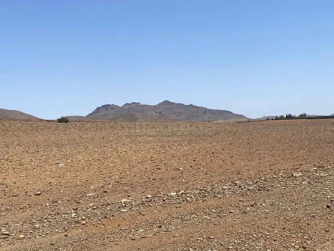 Terrain Titré de 26,000 m² sur route de Sidi BouOthmane