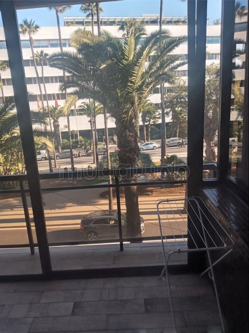 Habit immobilier met en location un bel appartement meublé avec 3 terrasses — 6