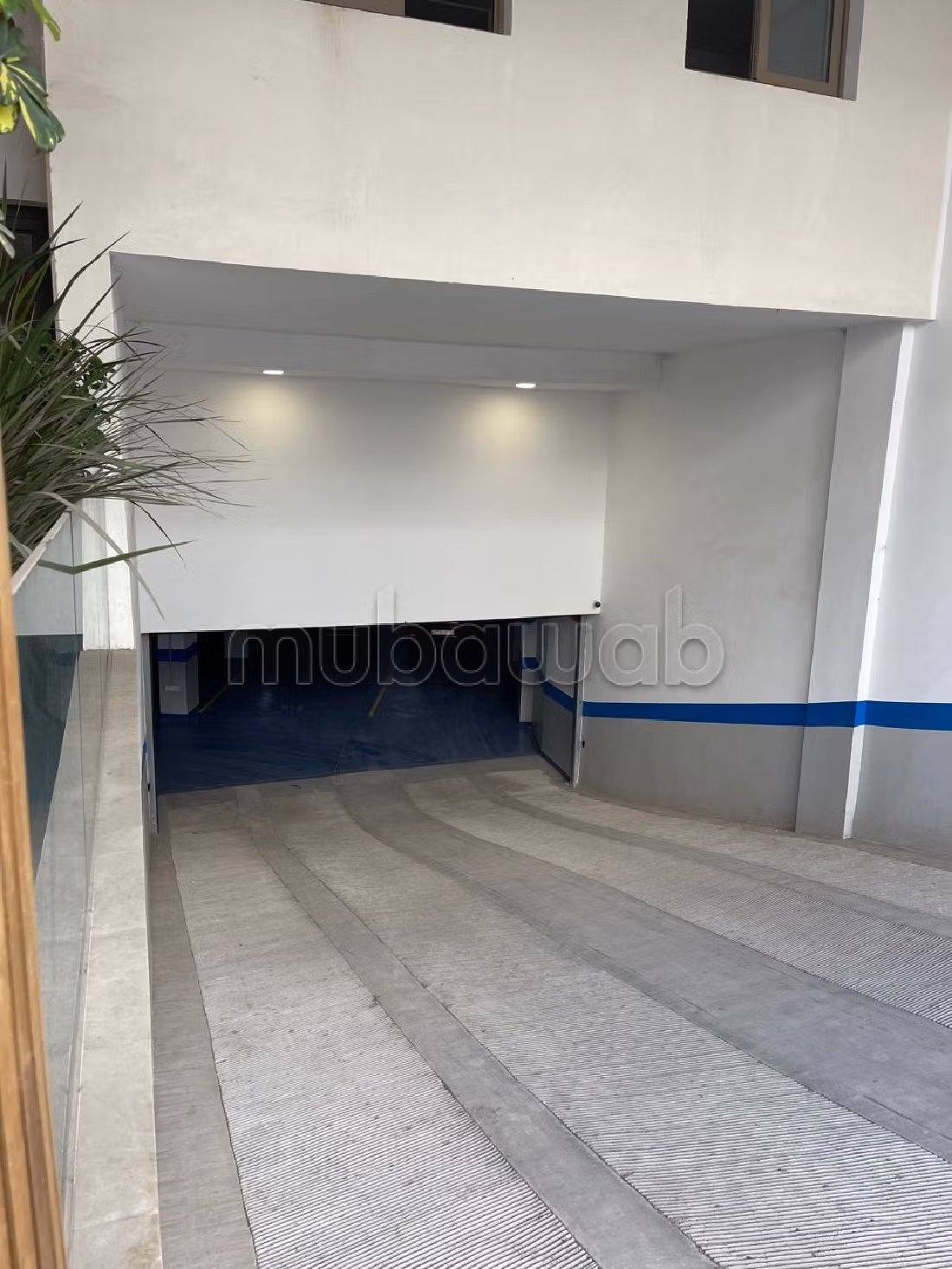 Apartment for rent in Oasis. 1 lovely room. Secured 24/7. 