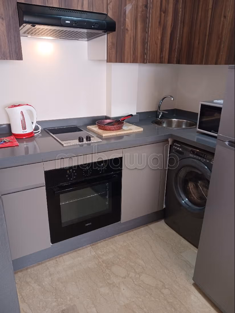 Studio neuf meublé au coeur de Bourgogne ouest