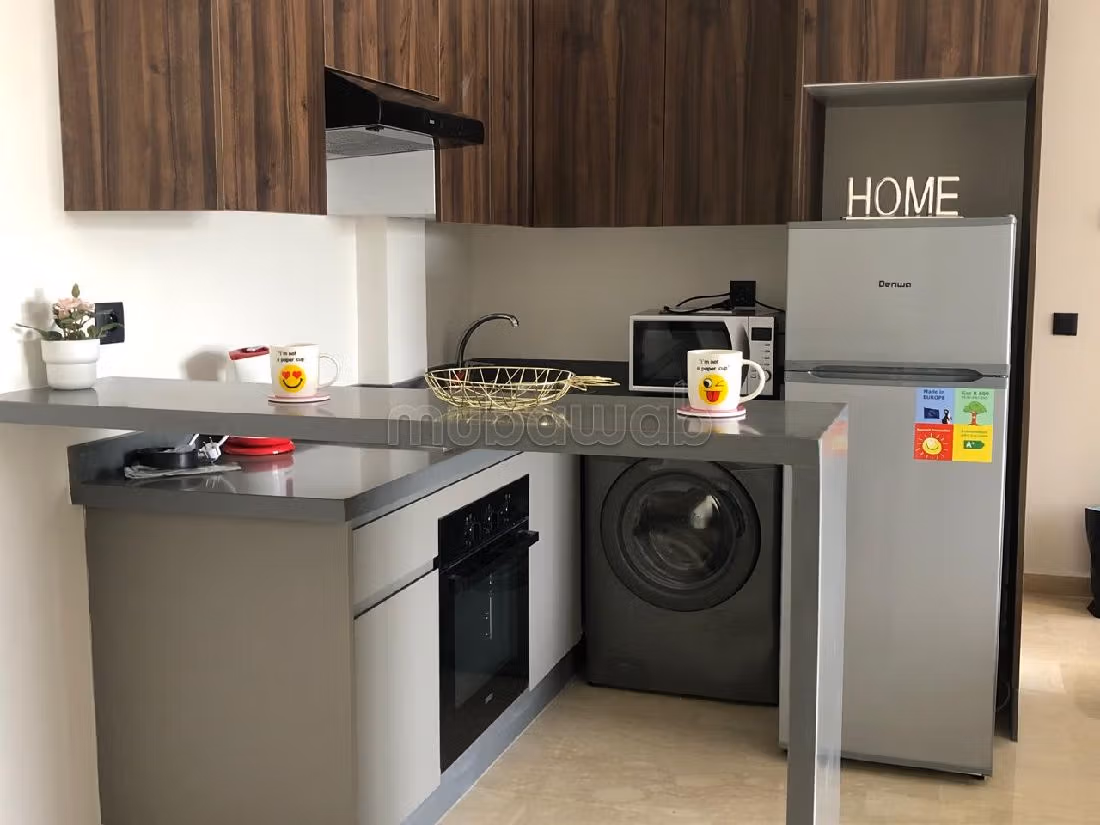 Studio neuf meublé au coeur de Bourgogne ouest