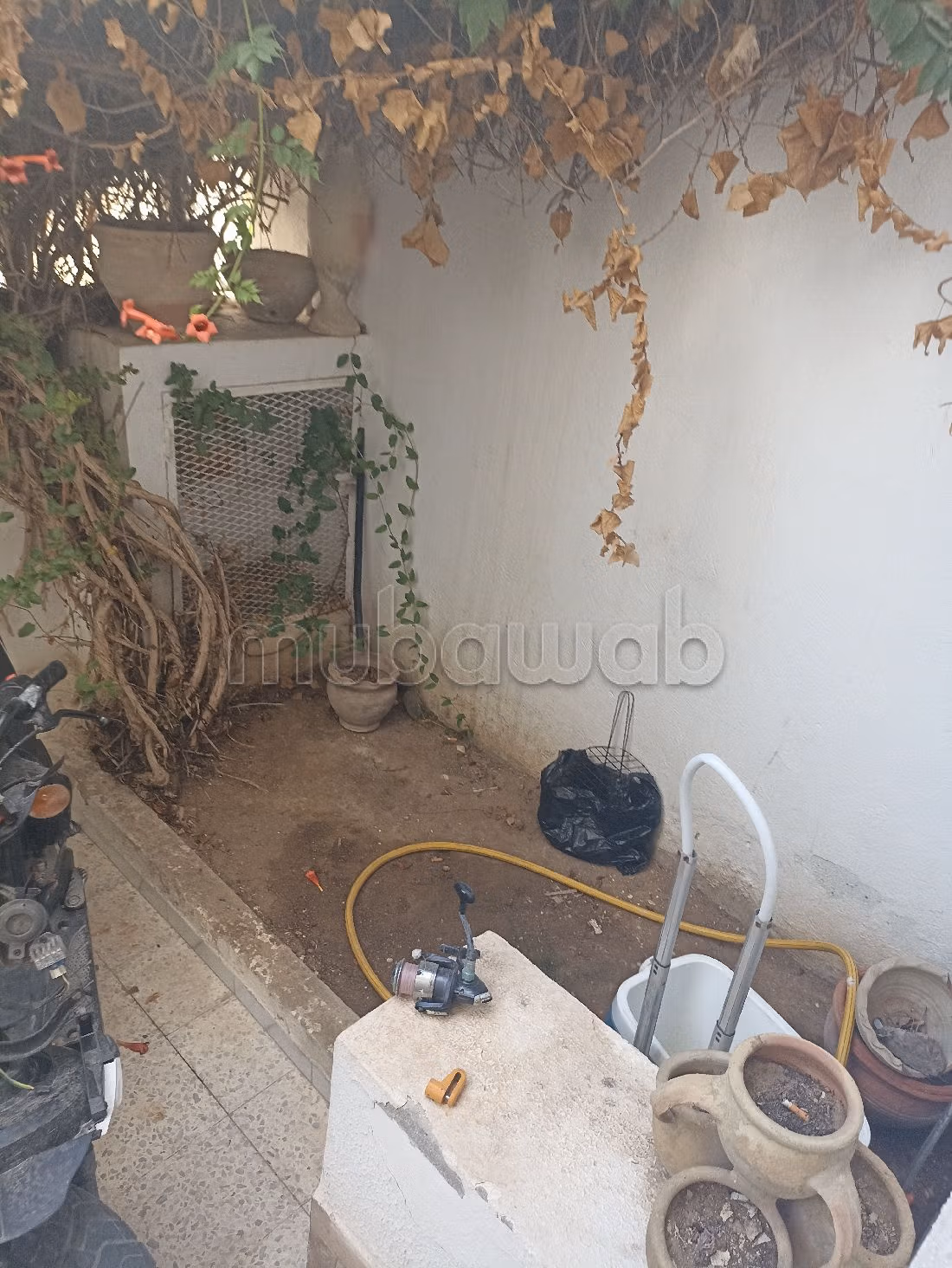 Duplex S3 vide avec jardin
