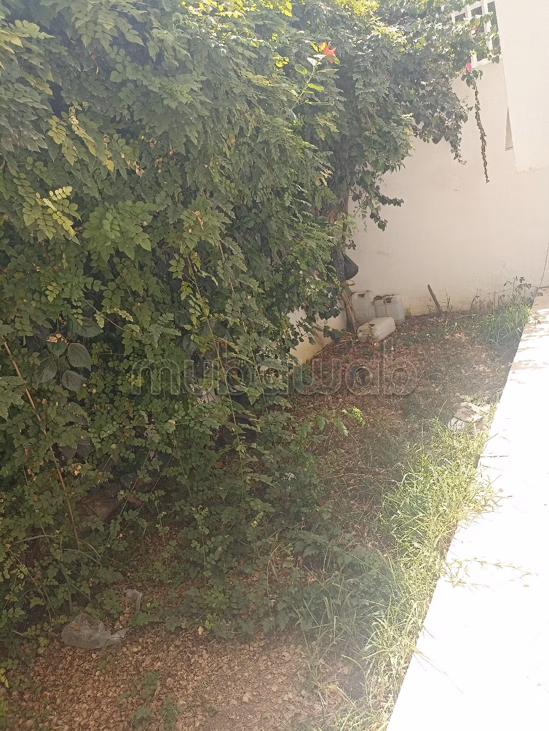Duplex S3 avec jardin