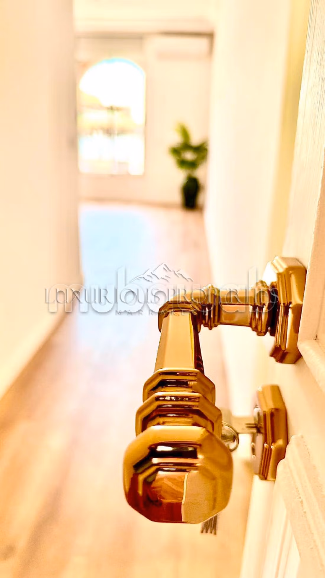 Apartment for rent in Guéliz. 5 rooms. Lift and garage