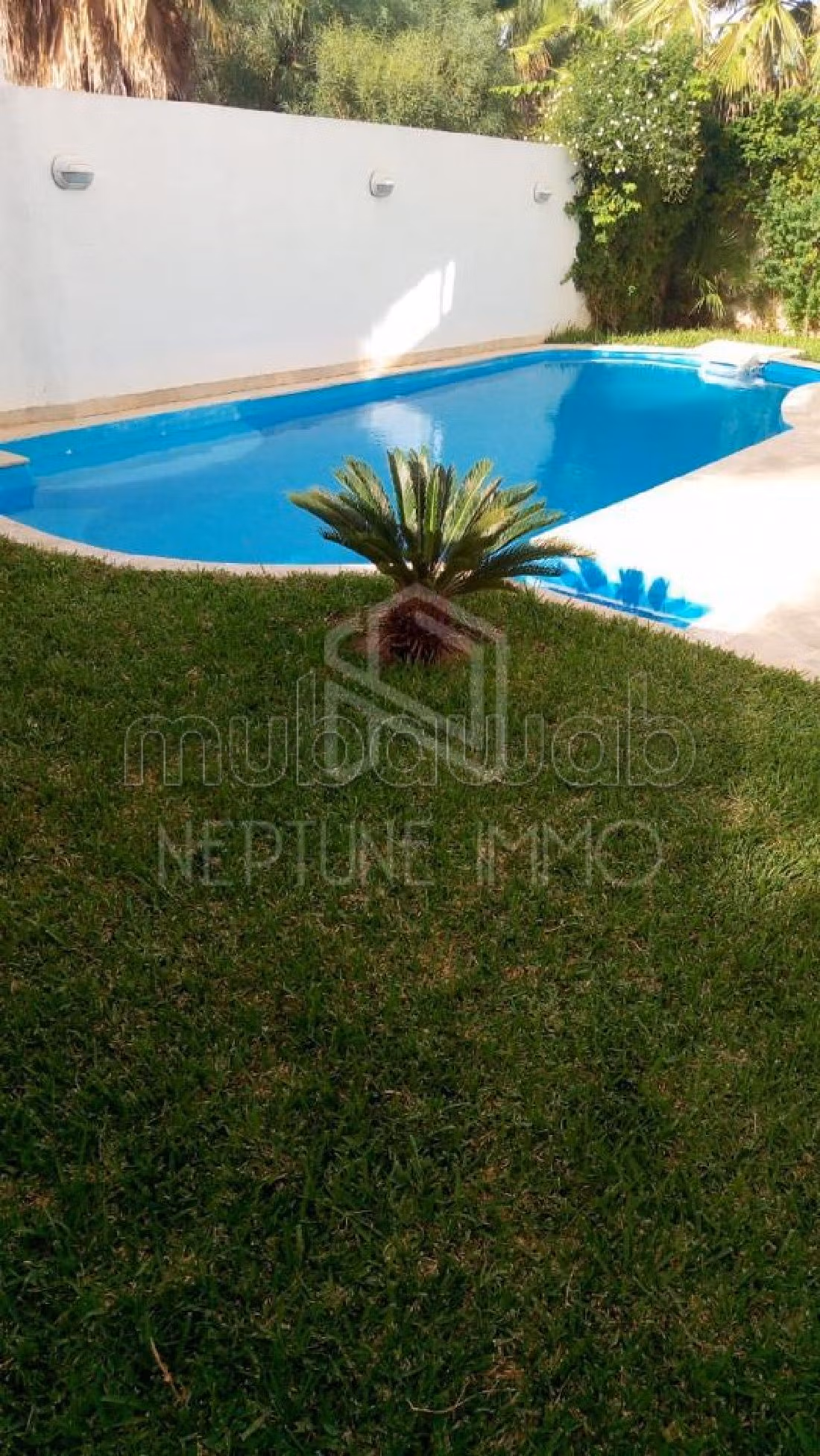 A louer villa avec piscine á Gammarth