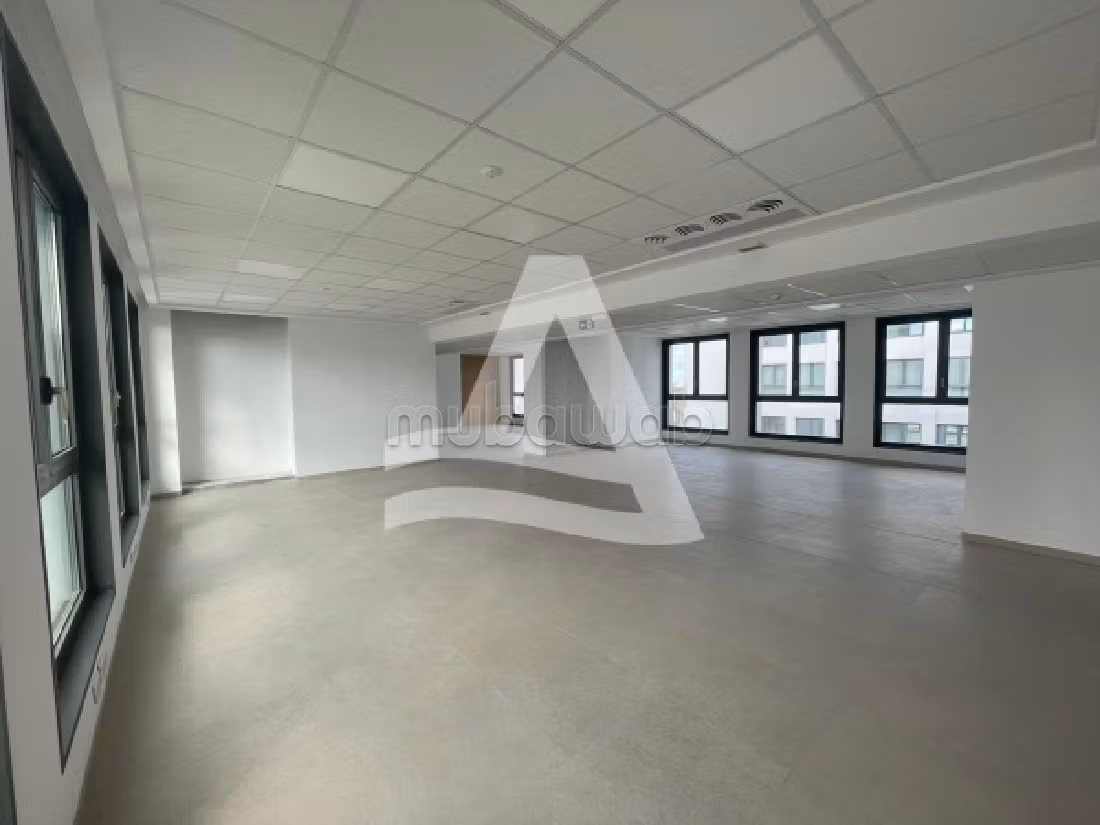 Location bureau open space au lac 2