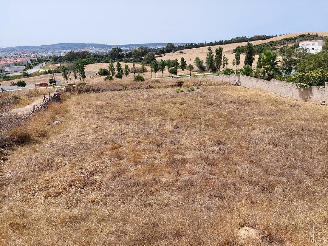 Terrain pour villa