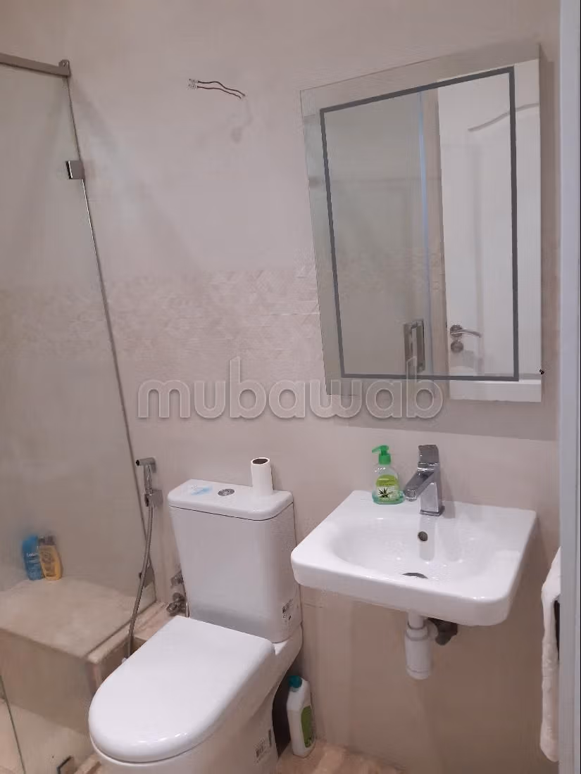 Apartment for sale in Quartier Bachkou. 2 lovely rooms. Well decorated