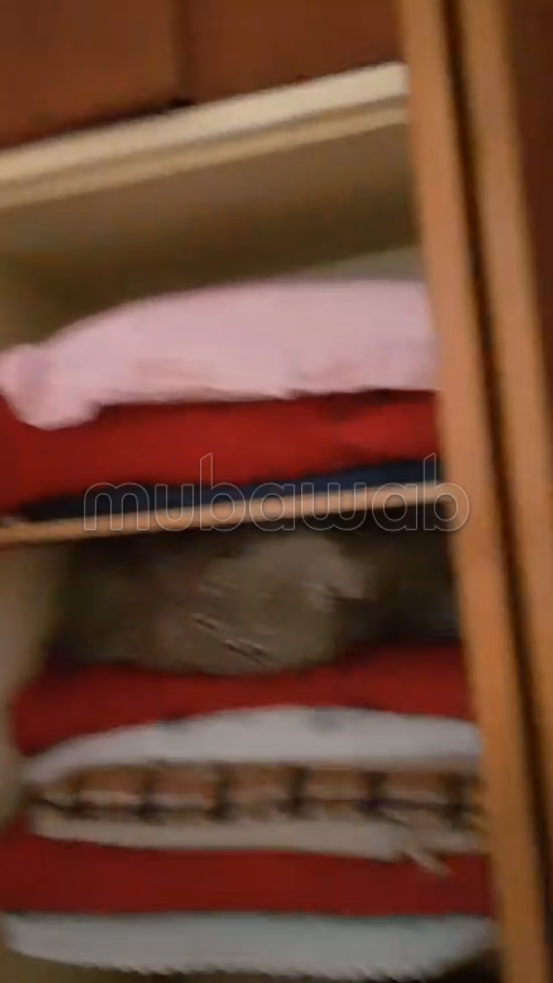 House for sale. 2 lovely rooms. Green area.