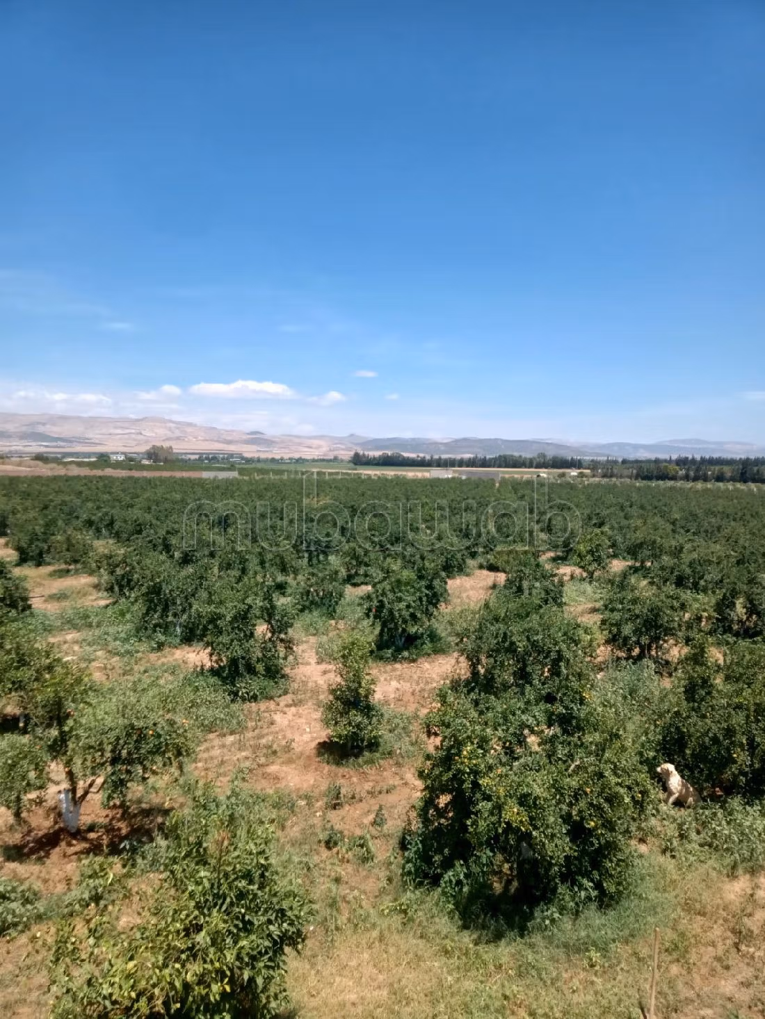 Très belle ferme