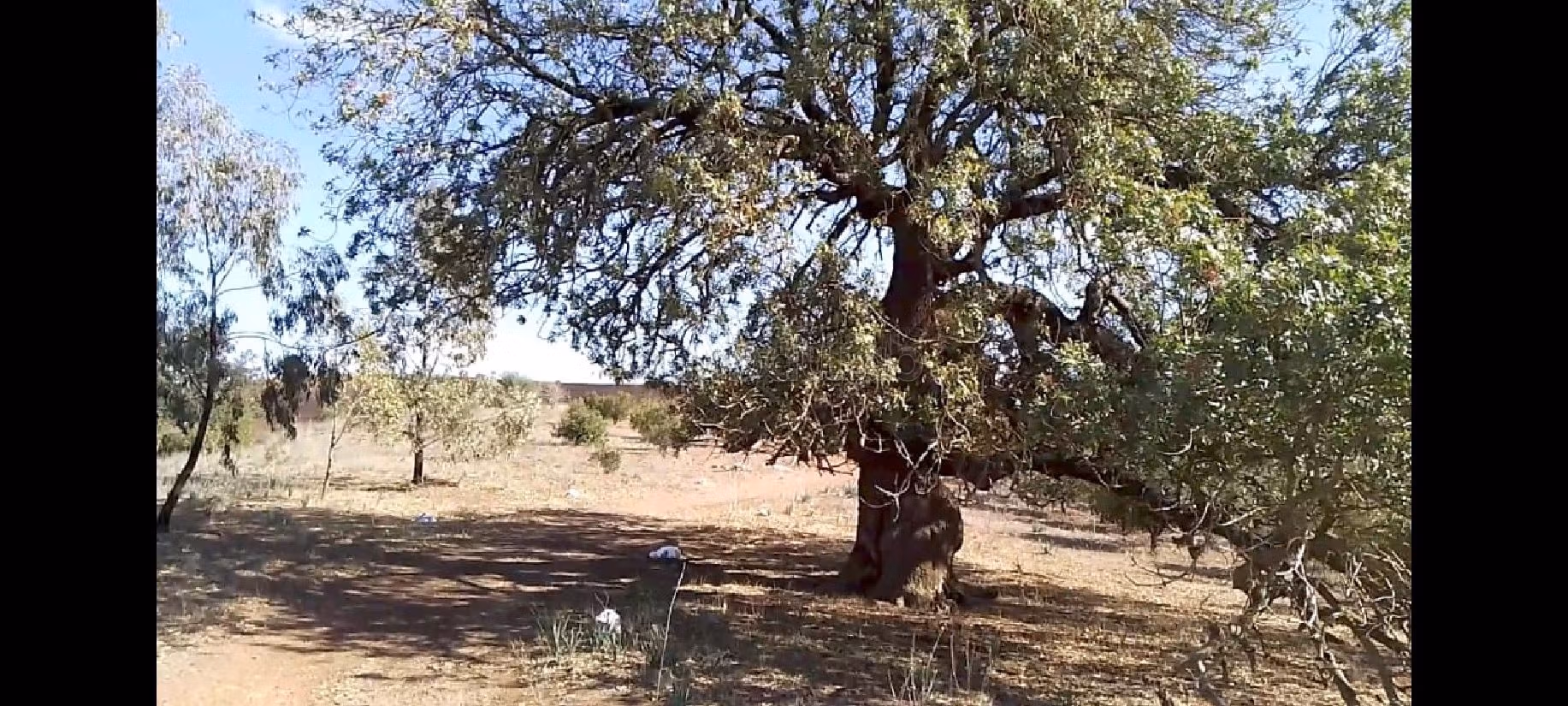 بيع مزرعة بالرباط. 