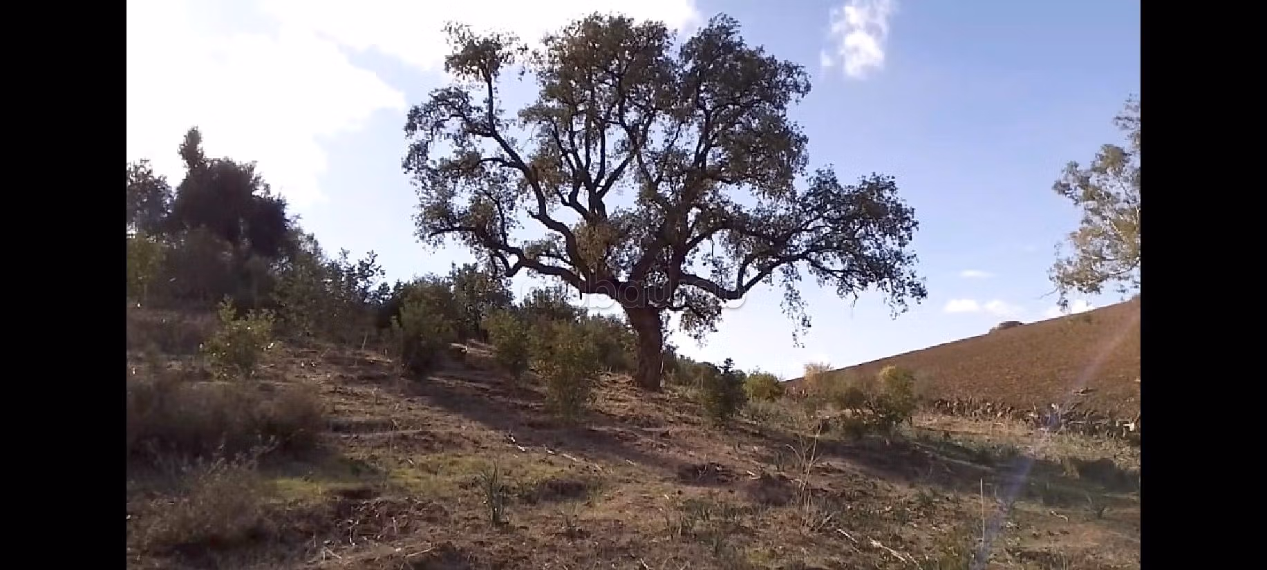بيع مزرعة بالرباط. 