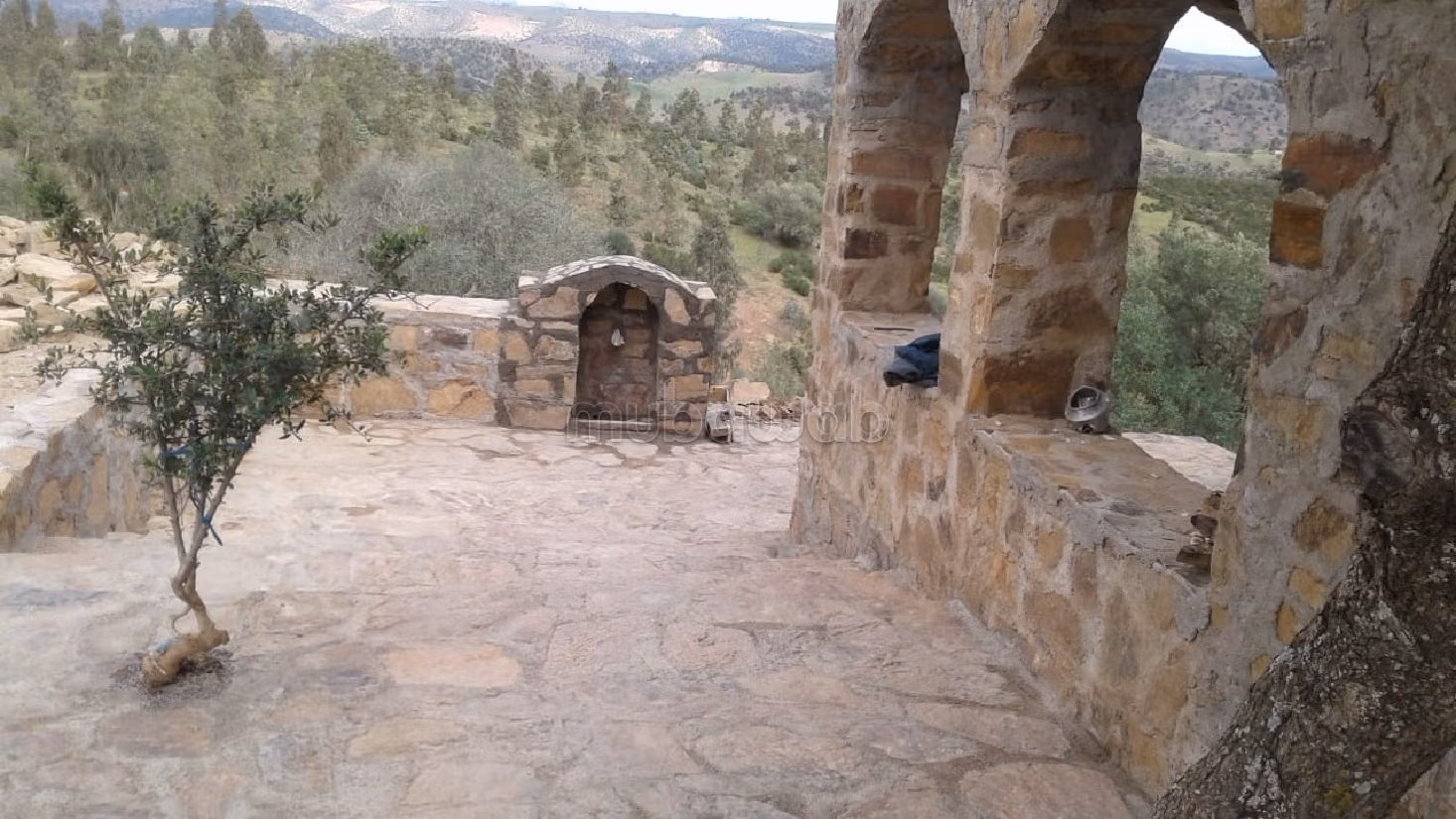 بيع مزرعة بالرباط. 