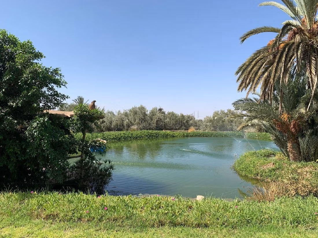 Propriété sur 17000 m2 / 60 Km de Marrakech