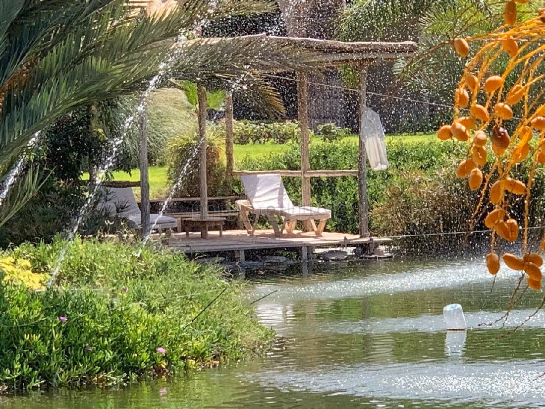 Propriété sur 17000 m2 / 60 Km de Marrakech