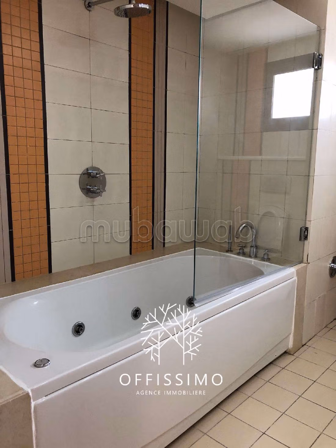 Location appartement duplex aux lac 2