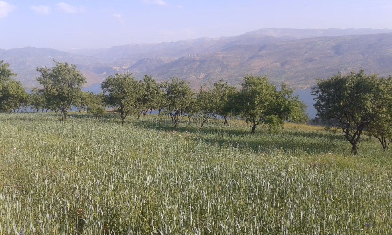 Vendita terreno. Superficie 15550 m². 