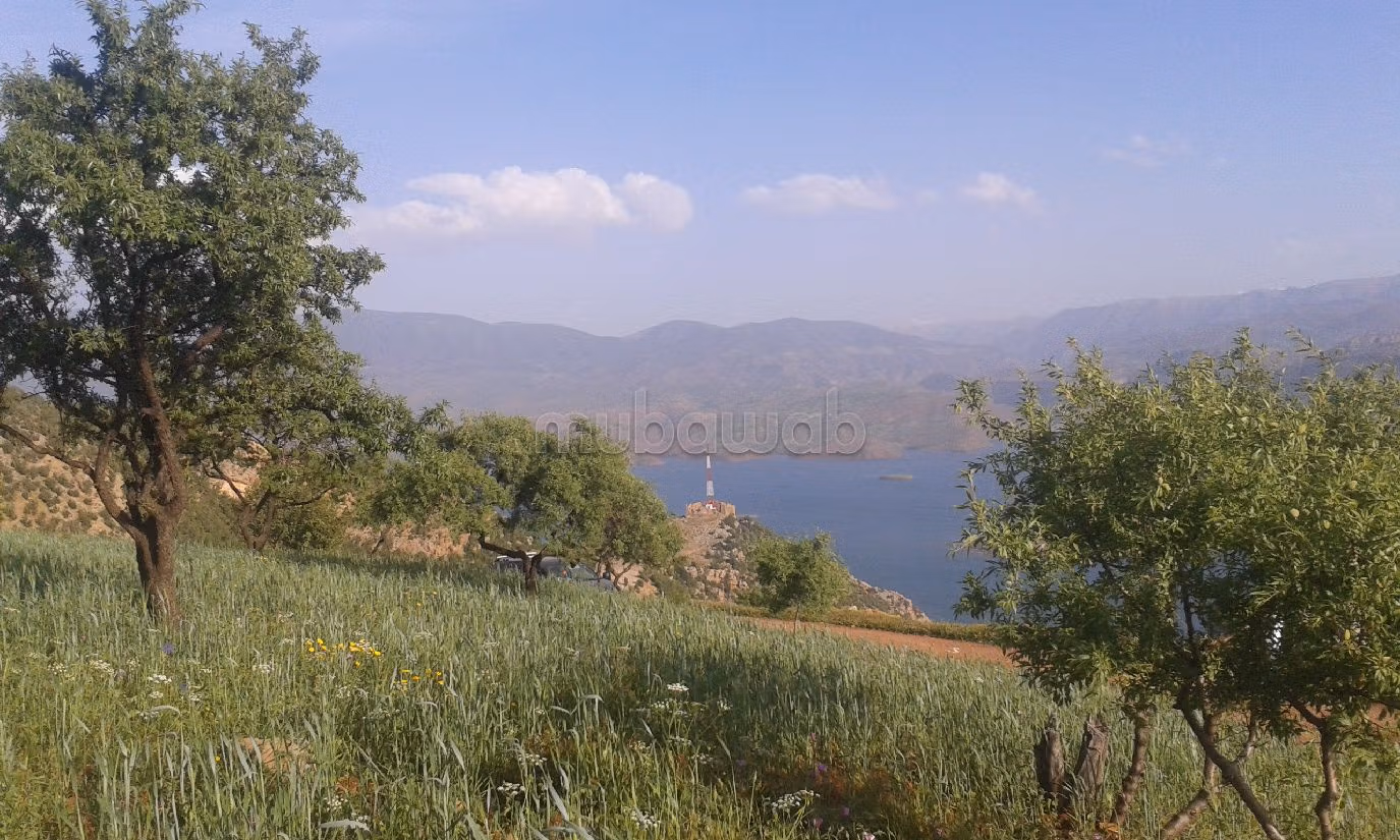 Vendita terreno. Superficie 15550 m². 