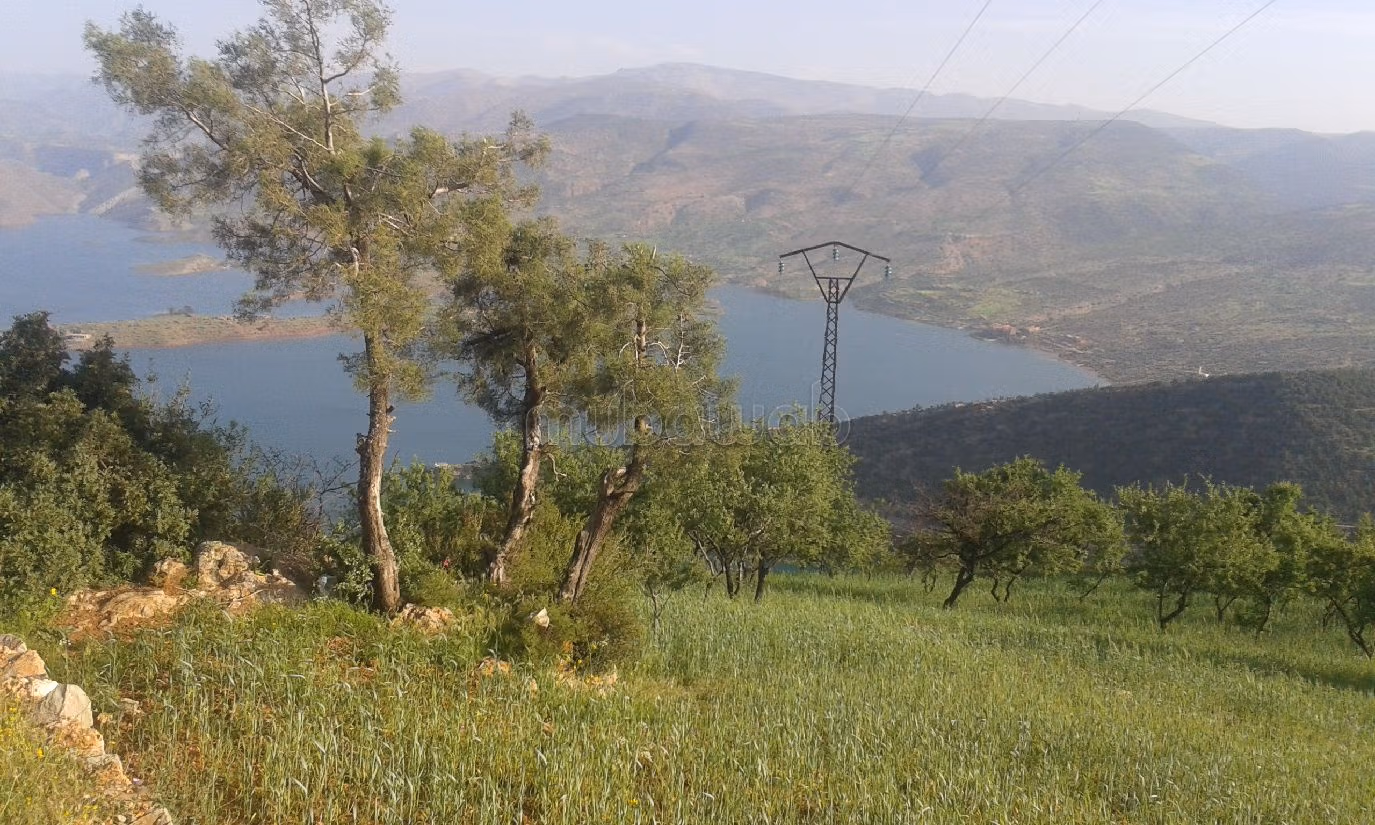 Vendita terreno. Superficie 15550 m². 